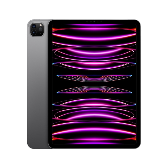 Apple iPad Pro 11 (2022) 4th Gen Wifi (Space Gray 256GB + 8GB)